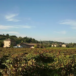 Agriturismo San Polo Castelvetro di Modena